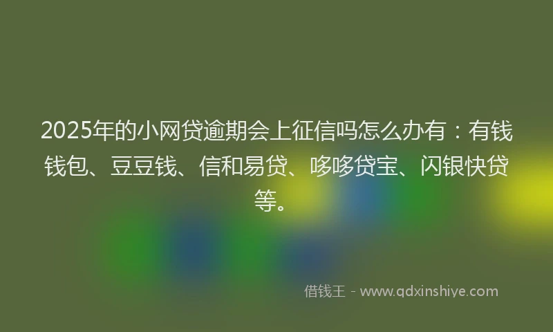 2025年的小网贷逾期会上征信吗怎么办有：有钱钱包、豆豆钱、信和易贷、哆哆贷宝、闪银快贷等。