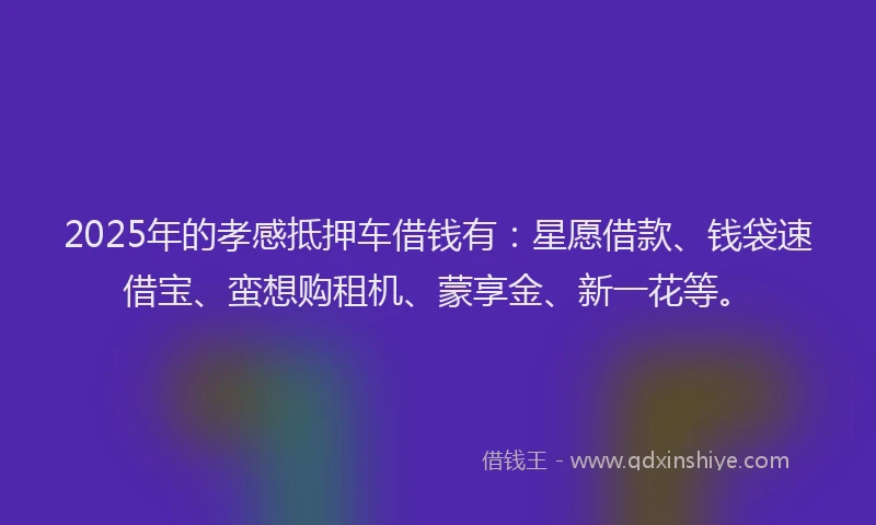 2025年的孝感抵押车借钱有：星愿借款、钱袋速借宝、蛮想购租机、蒙享金、新一花等。
