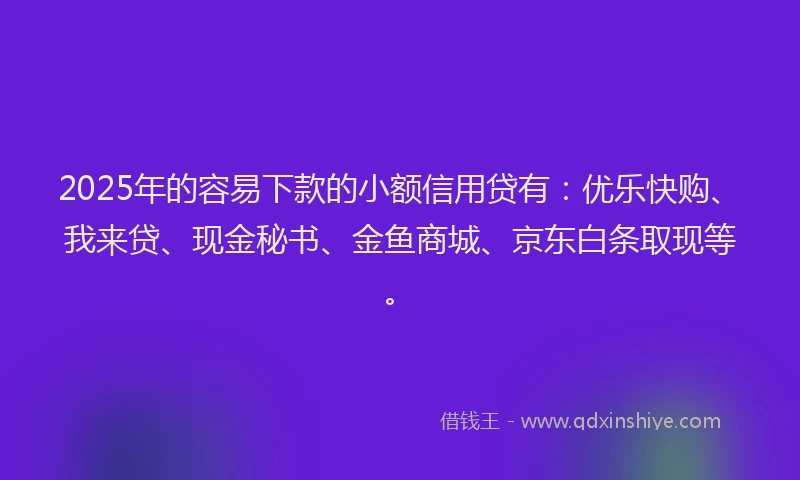 2025年的容易下款的小额信用贷有：优乐快购、我来贷、现金秘书、金鱼商城、京东白条取现等。
