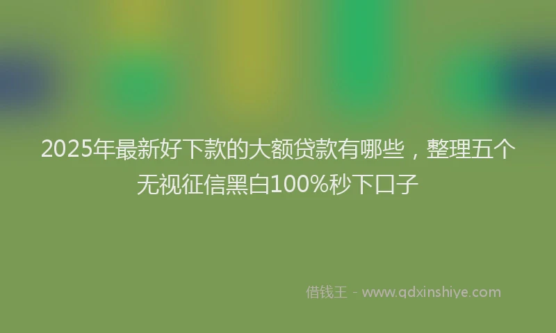 2025年最新好下款的大额贷款有哪些，整理五个无视征信黑白100%秒下口子