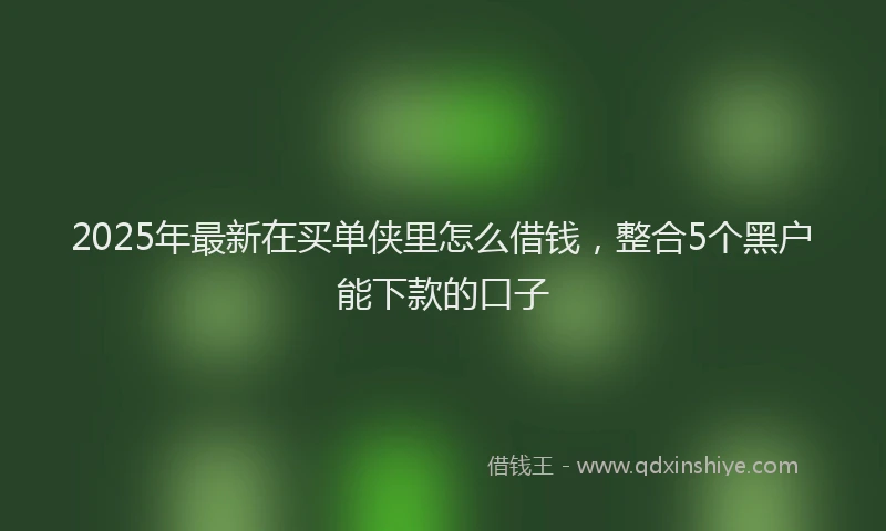 2025年最新在买单侠里怎么借钱，整合5个黑户能下款的口子