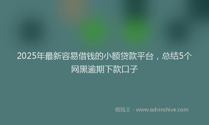2025年最新容易借钱的小额贷款平台，总结5个网黑逾期下款口子