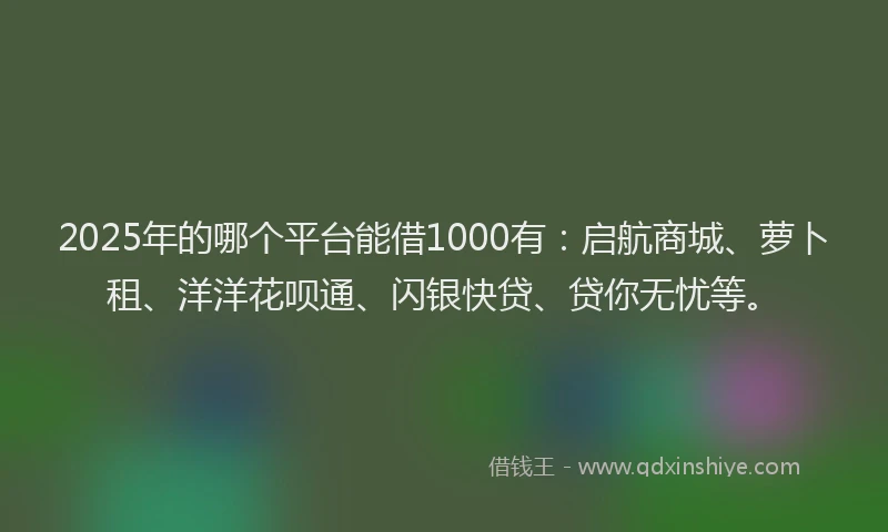 2025年的哪个平台能借1000有：启航商城、萝卜租、洋洋花呗通、闪银快贷、贷你无忧等。