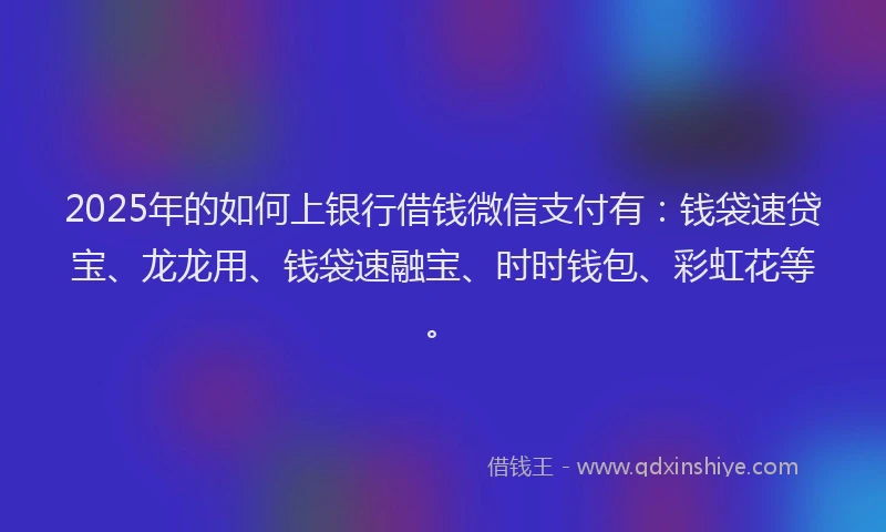 2025年的如何上银行借钱微信支付有：钱袋速贷宝、龙龙用、钱袋速融宝、时时钱包、彩虹花等。