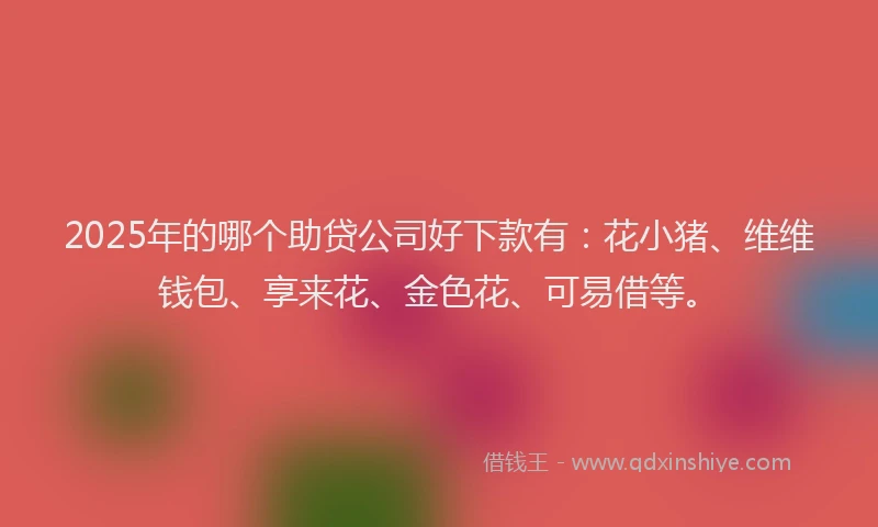 2025年的哪个助贷公司好下款有：花小猪、维维钱包、享来花、金色花、可易借等。