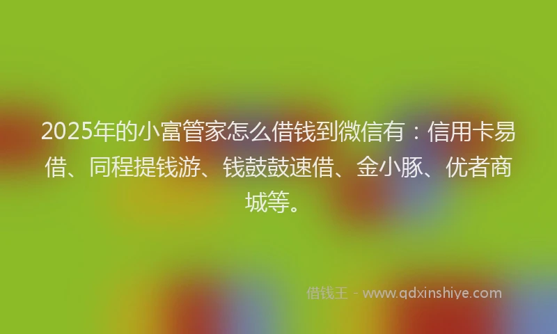 2025年的小富管家怎么借钱到微信有：信用卡易借、同程提钱游、钱鼓鼓速借、金小豚、优者商城等。