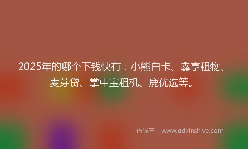 2025年的哪个下钱快有：小熊白卡、鑫享租物、麦芽贷、掌中宝租机、鹿优选等。