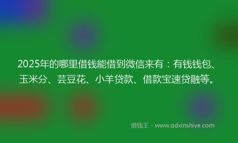 2025年的哪里借钱能借到微信来有：有钱钱包、玉米分、芸豆花、小羊贷款、借款宝速贷融等。