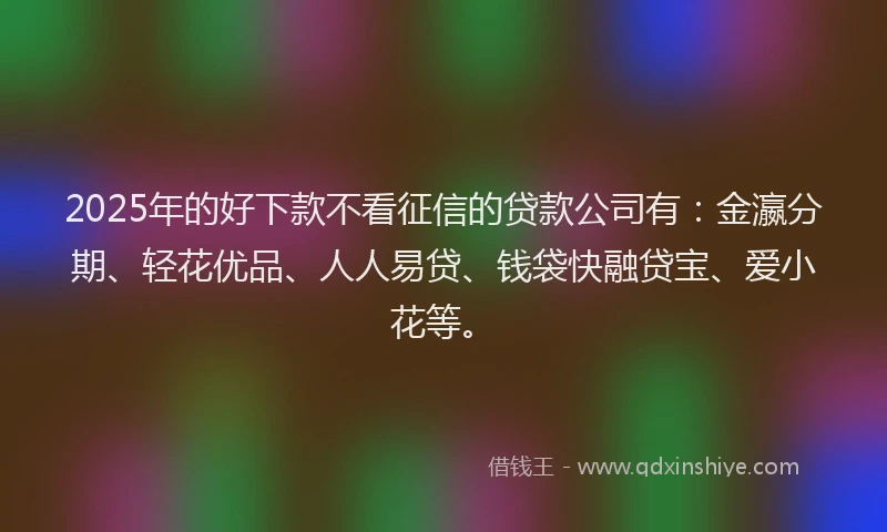 2025年的好下款不看征信的贷款公司有：金瀛分期、轻花优品、人人易贷、钱袋快融贷宝、爱小花等。