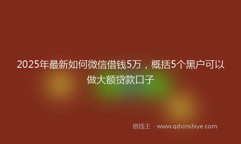 2025年最新如何微信借钱5万，概括5个黑户可以做大额贷款口子