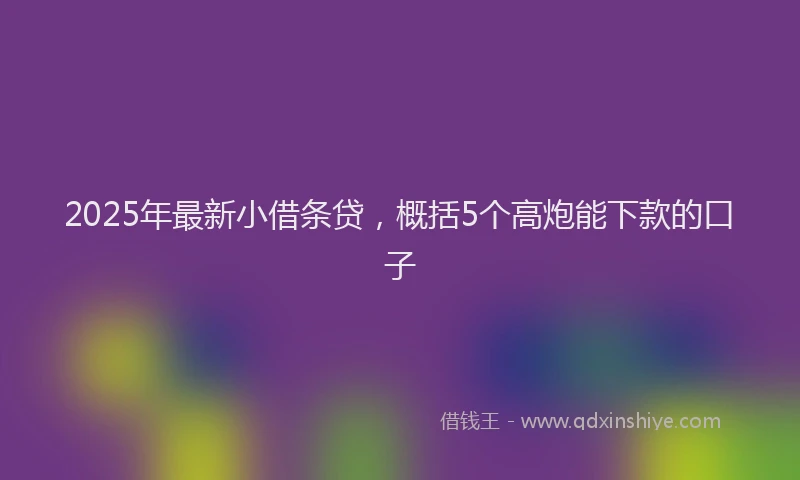2025年最新小借条贷，概括5个高炮能下款的口子