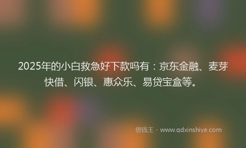 2025年的小白救急好下款吗有：京东金融、麦芽快借、闪银、惠众乐、易贷宝盒等。
