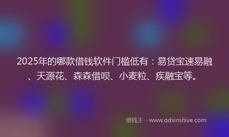 2025年的哪款借钱软件门槛低有：易贷宝速易融、天源花、森森借呗、小麦粒、疾融宝等。