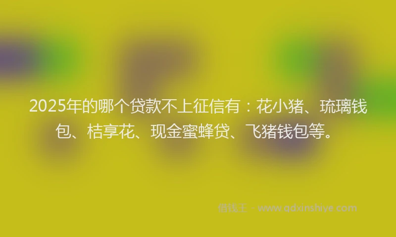 2025年的哪个贷款不上征信有：花小猪、琉璃钱包、桔享花、现金蜜蜂贷、飞猪钱包等。