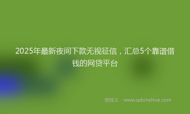 2025年最新夜间下款无视征信，汇总5个靠谱借钱的网贷平台