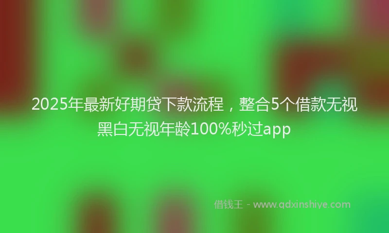 2025年最新好期贷下款流程，整合5个借款无视黑白无视年龄100%秒过app