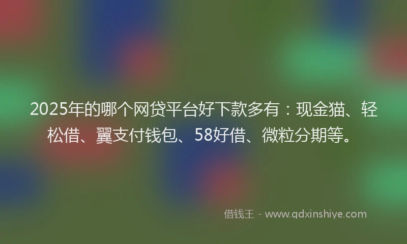 2025年的哪个网贷平台好下款多有：现金猫、轻松借、翼支付钱包、58好借、微粒分期等。