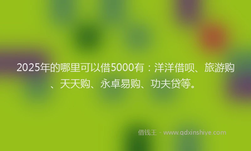 2025年的哪里可以借5000有：洋洋借呗、旅游购、天天购、永卓易购、功夫贷等。