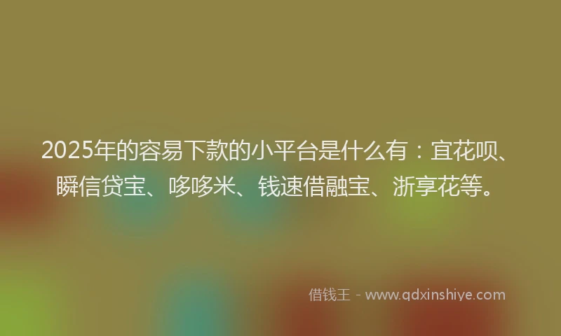 2025年的容易下款的小平台是什么有：宜花呗、瞬信贷宝、哆哆米、钱速借融宝、浙享花等。