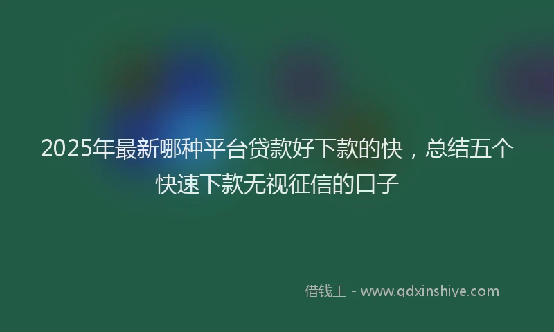 2025年最新哪种平台贷款好下款的快，总结五个快速下款无视征信的口子