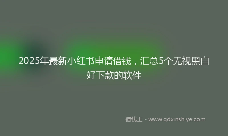 2025年最新小红书申请借钱，汇总5个无视黑白好下款的软件