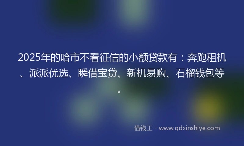 2025年的哈市不看征信的小额贷款有：奔跑租机、派派优选、瞬借宝贷、新机易购、石榴钱包等。