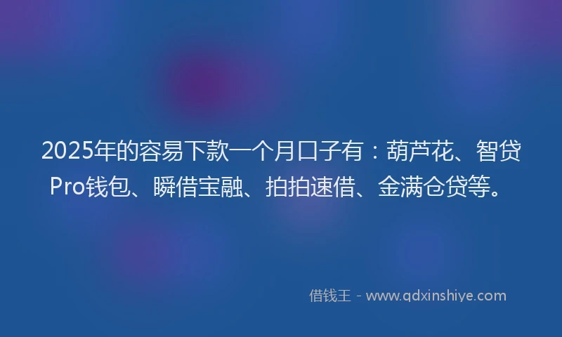 2025年的容易下款一个月口子有：葫芦花、智贷Pro钱包、瞬借宝融、拍拍速借、金满仓贷等。