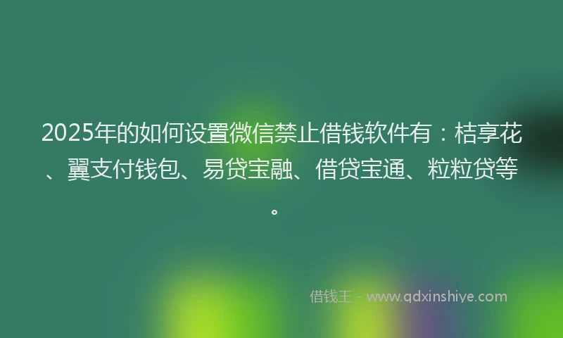 2025年的如何设置微信禁止借钱软件有：桔享花、翼支付钱包、易贷宝融、借贷宝通、粒粒贷等。