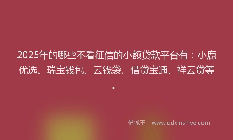 2025年的哪些不看征信的小额贷款平台有：小鹿优选、瑞宝钱包、云钱袋、借贷宝通、祥云贷等。