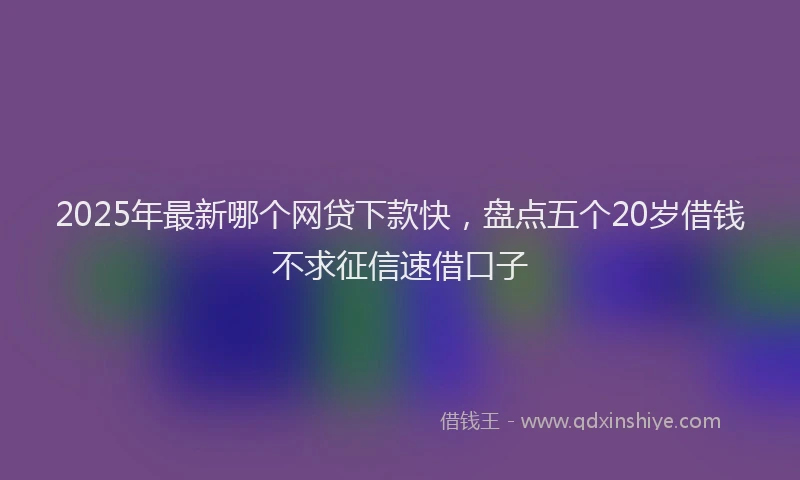 2025年最新哪个网贷下款快，盘点五个20岁借钱不求征信速借口子