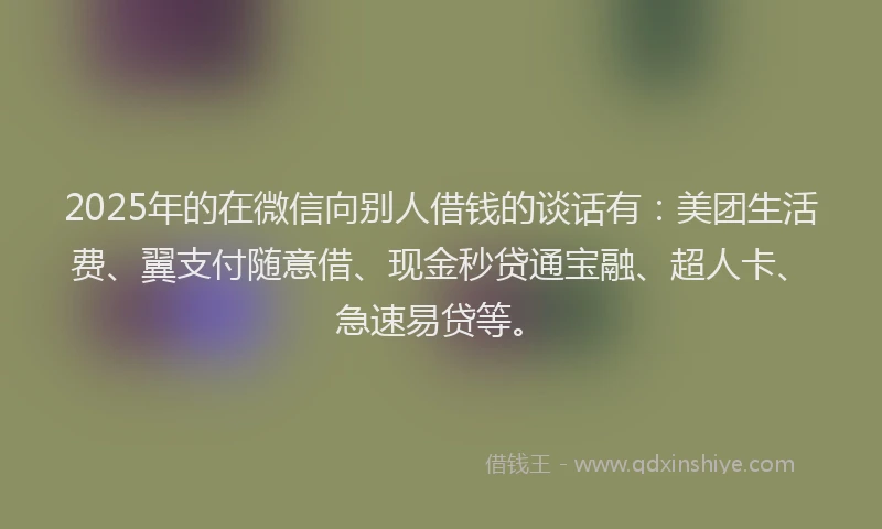 2025年的在微信向别人借钱的谈话有：美团生活费、翼支付随意借、现金秒贷通宝融、超人卡、急速易贷等。