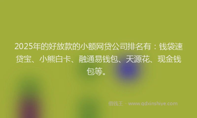 2025年的好放款的小额网贷公司排名有：钱袋速贷宝、小熊白卡、融通易钱包、天源花、现金钱包等。
