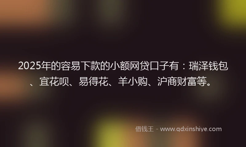 2025年的容易下款的小额网贷口子有：瑞泽钱包、宜花呗、易得花、羊小购、沪商财富等。