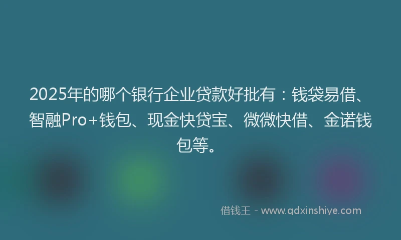 2025年的哪个银行企业贷款好批有：钱袋易借、智融Pro+钱包、现金快贷宝、微微快借、金诺钱包等。
