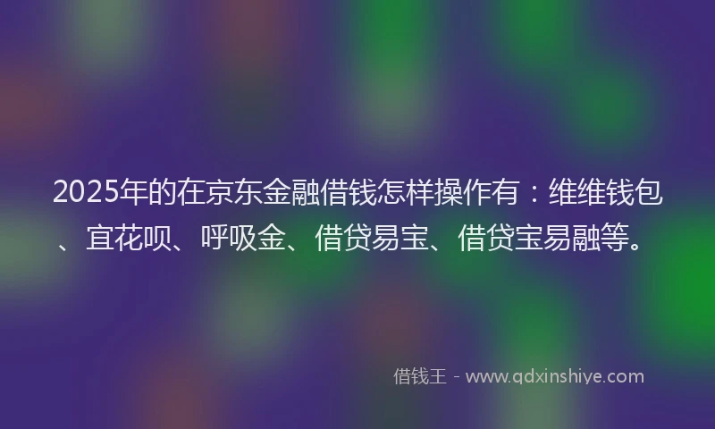 2025年的在京东金融借钱怎样操作有：维维钱包、宜花呗、呼吸金、借贷易宝、借贷宝易融等。