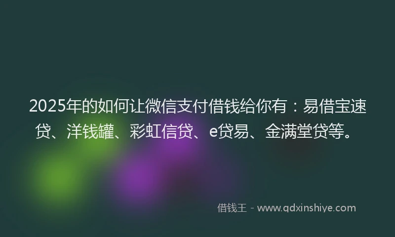 2025年的如何让微信支付借钱给你有：易借宝速贷、洋钱罐、彩虹信贷、e贷易、金满堂贷等。