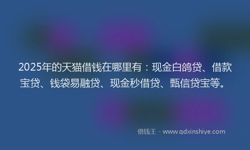 2025年的天猫借钱在哪里有：现金白鸽贷、借款宝贷、钱袋易融贷、现金秒借贷、甄信贷宝等。