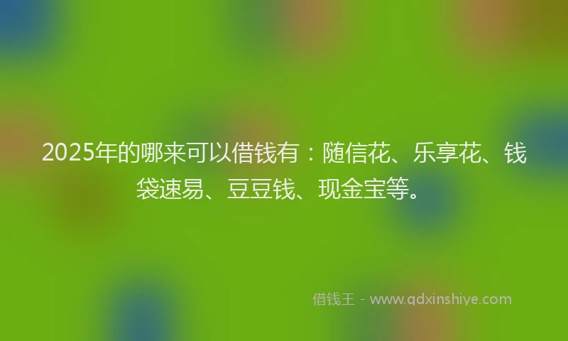 2025年的哪来可以借钱有：随信花、乐享花、钱袋速易、豆豆钱、现金宝等。