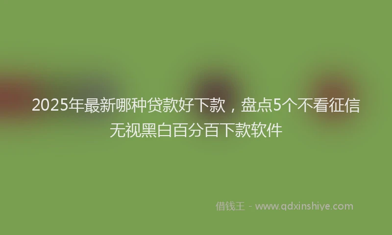 2025年最新哪种贷款好下款，盘点5个不看征信无视黑白百分百下款软件