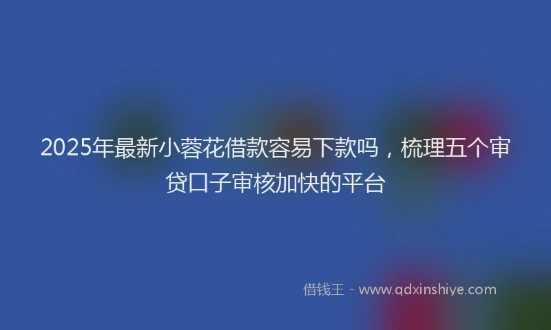2025年最新小蓉花借款容易下款吗，梳理五个审贷口子审核加快的平台