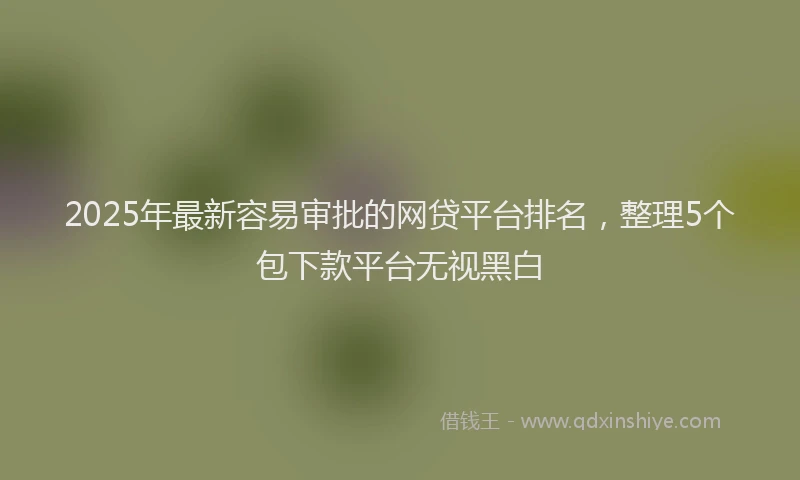 2025年最新容易审批的网贷平台排名，整理5个包下款平台无视黑白