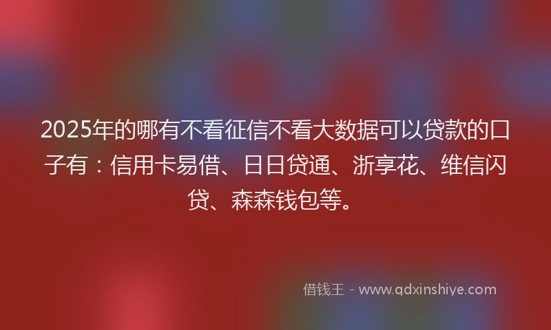 2025年的哪有不看征信不看大数据可以贷款的口子有：信用卡易借、日日贷通、浙享花、维信闪贷、森森钱包等。