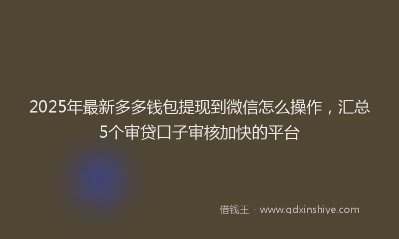 2025年最新多多钱包提现到微信怎么操作，汇总5个审贷口子审核加快的平台