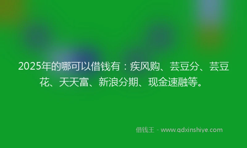 2025年的哪可以借钱有：疾风购、芸豆分、芸豆花、天天富、新浪分期、现金速融等。