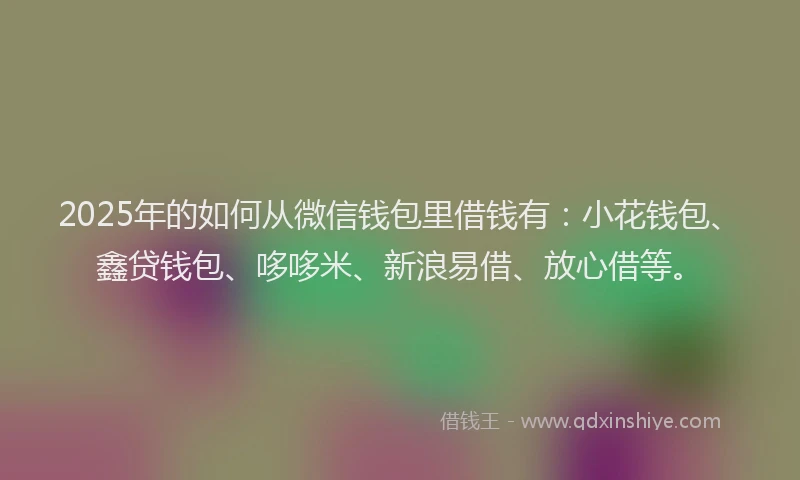 2025年的如何从微信钱包里借钱有：小花钱包、鑫贷钱包、哆哆米、新浪易借、放心借等。