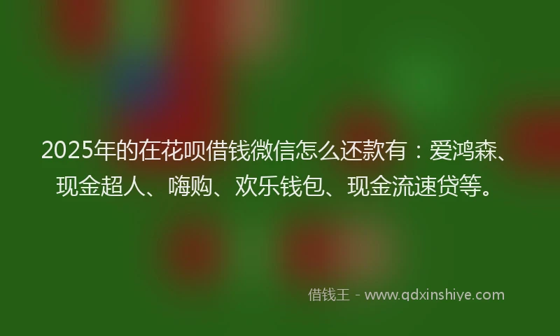 2025年的在花呗借钱微信怎么还款有：爱鸿森、现金超人、嗨购、欢乐钱包、现金流速贷等。