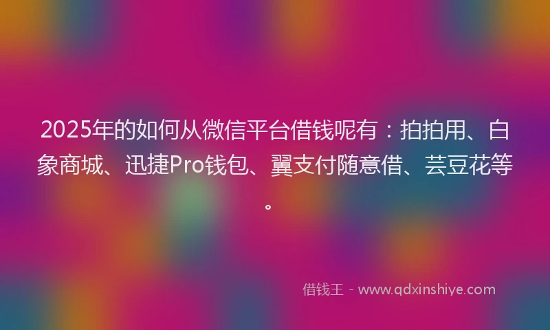 2025年的如何从微信平台借钱呢有：拍拍用、白象商城、迅捷Pro钱包、翼支付随意借、芸豆花等。