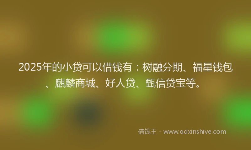 2025年的小贷可以借钱有：树融分期、福星钱包、麒麟商城、好人贷、甄信贷宝等。