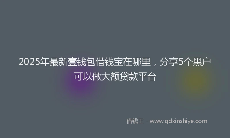 2025年最新壹钱包借钱宝在哪里，分享5个黑户可以做大额贷款平台