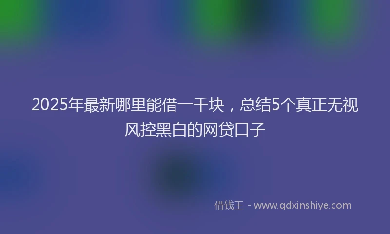 2025年最新哪里能借一千块，总结5个真正无视风控黑白的网贷口子